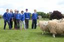 Knowepark Primary pupils tried their hand at sheep herding. Photos: Helen Barrington