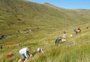 Extinction Rebellion volunteers planting trees on Talla and Gameshope last Saturday. See letter from Philip Ashmole.