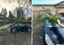 'My daughter's car was written off by Storm Isha', says Peeblesshire mum