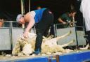 Sheep shearing guru Una Cameron