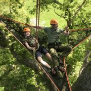 Tree climbing experiences will be offered through Wild Tree Adventures