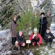 The planted Scot's Pine with from back left: Graham Stewart, Thomas Gifford, Fiona Woollard, Reverend Pamela Strachan, Tweeddale Lord Lieutenant Sir Hew Strachan, pupil Vincent's mum Alexia, Broughton Primary pupils: Vincent, Ruby and Angus.