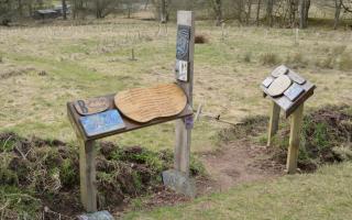A Roamer's Wood interpretation board with planted trees in the background