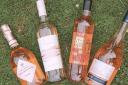 See the new Summer Rose Wines at Aldi. (Emilia Kettle)