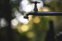 SEPA has warned that the threart of water scarcity could grow in the Borders if dry conditions continue. Photo: Luis Tosta/Unsplash