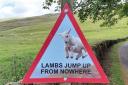 The road sign was spotted on the outskirts of Peebles. Photo: Danny Bate/Twitter