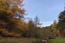 Pentland Hills in autumn