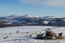 Snow on the Eildons. Photo: Hazel Dunbar/Border Telegraph Camera Club