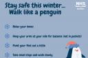 Walk like a penguin to reduce your risk of falling says NHS Borders