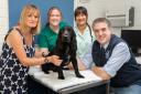 Percy with owner Gail Millar, veterinary nurse Jessica Snedden, student veterinary nurse  Amber Graham and clinical director Jim Ross