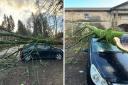 'My daughter's car was written off by Storm Isha', says Peeblesshire mum