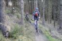 WATCH: Cross Country cycling series coming to Glentress