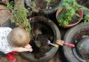 Children at Newlands Activity Centre spent their half term learning about gardening