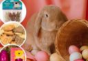 Pet-friendly Easter treats. Pictures: Canva/Pets at Home