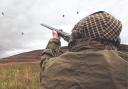 Mixed views expressed on the official start of the grouse-shooting season