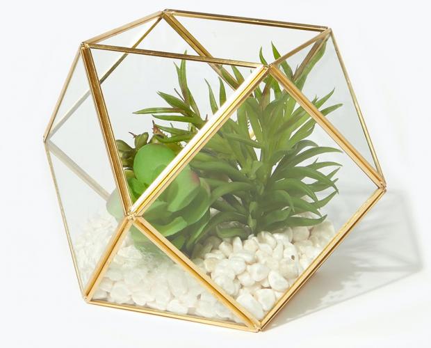 Peeblesshire News: Succulents in Hexagonal Planter is available via Matalan. Picture: Matalan