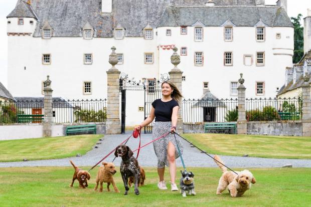 Peeblesshire News: Dog's Day Out at Traquair 