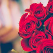 A bunch of red roses. Credit: Canva