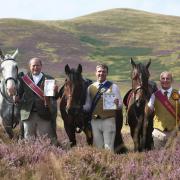 Spurs Ride at Stobo
L-R
 Peebles Cornet, Iain Mitchell, The Biggar Cornet Michael Allen,  the West LInton Whipman, Gregor Brown meet and are presented with their spurs