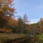 Pentland Hills in autumn