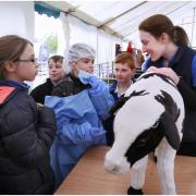 Border Union Agricultural Society’s tenth annual Schools Countryside Day