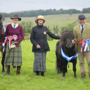 Supreme of the show Moss-side Breagh ll shown by Fiona Steel (left) and Reserve Supreme Kerloch Rupert with John Watson (right) with judge Karen Redfearn at Newtown St Boswells and District Farmers Show Photo Heather Runciman