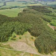 Broughtonknowe Woods from the air