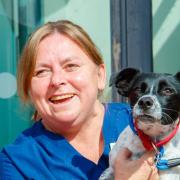 Colleen Gibson has swapped South Africa for the Scottish Borders as she aims to become a veterinary nurse with Linnaeus-owned Greenside Veterinary Practice.