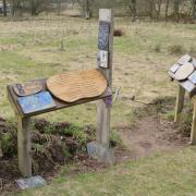 A Roamer's Wood interpretation board with planted trees in the background