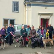 Scottish Greyhound Sanctuary members and their dogs before the walk. Photo: Louise Coulson