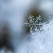 Snow could hit part of the Borders this week