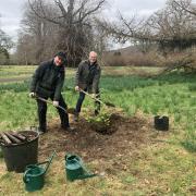 Replanting has started following storm damage