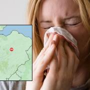 The Met Office forecast predicts very high pollen counts in the Borders