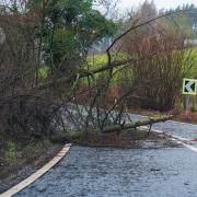 Storm Floris will bring heavy rain and transport disruption is expected.