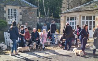 Dandie Dinmont enthusiasts celebrated the unveiling of the second heritage trail board at Bowhill House